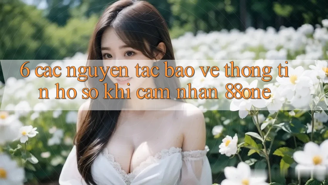 6. Các nguyên tắc bảo vệ thông tin hồ sơ khi cảm nhận 88one 6. Các nguyên tắc bảo vệ thông tin hồ sơ khi cảm nhận 88one