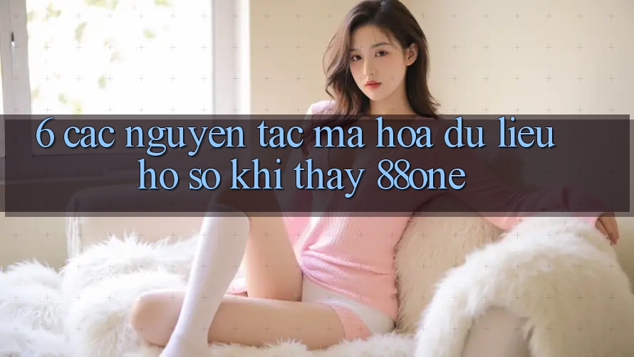 6. Các nguyên tắc mã hóa dữ liệu hồ sơ khi thấy 88one 6. Các nguyên tắc mã hóa dữ liệu hồ sơ khi thấy 88one