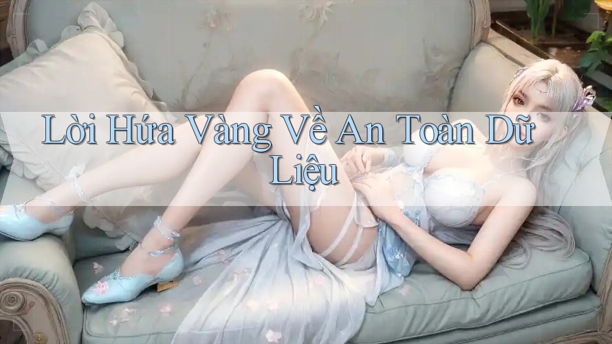 Lời Hứa Vàng Về An Toàn Dữ Liệu Lời Hứa Vàng Về An Toàn Dữ Liệu