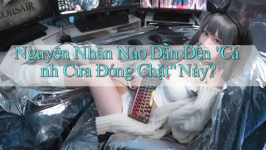 Nguyên Nhân Nào Dẫn Đến “Cánh Cửa Đóng Chặt” Này? Nguyên Nhân Nào Dẫn Đến “Cánh Cửa Đóng Chặt” Này?