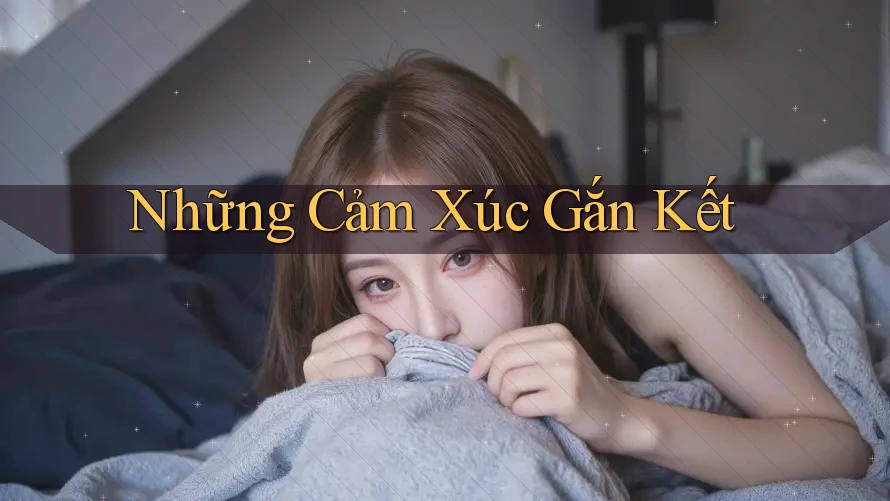 Những Cảm Xúc Gắn Kết